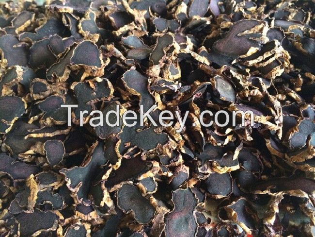 Dried Black Ginger- Dried Black Ginger (Krachaidum)Thailand.