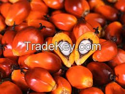 palm oil