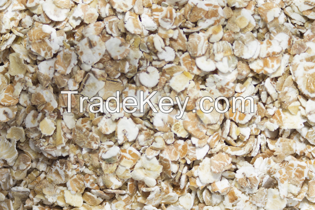 oats flake 