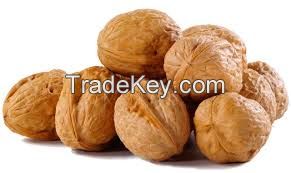 Walnuts inshell from South Africa, good price. 