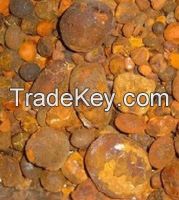 Ox and Cattle Gall Bladder Stones
