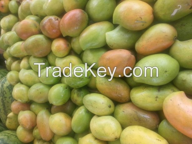 Ripe  and  Fresh Mangoes for sale