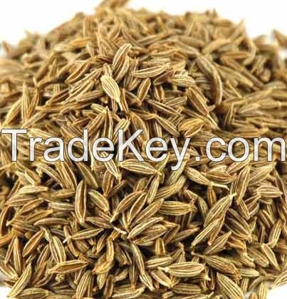 cumin seeds for  sale