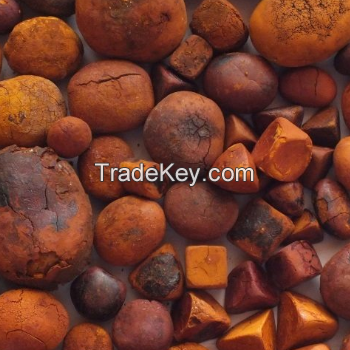 Ox Gallstones Cattle Gallstones Cow Gallstones