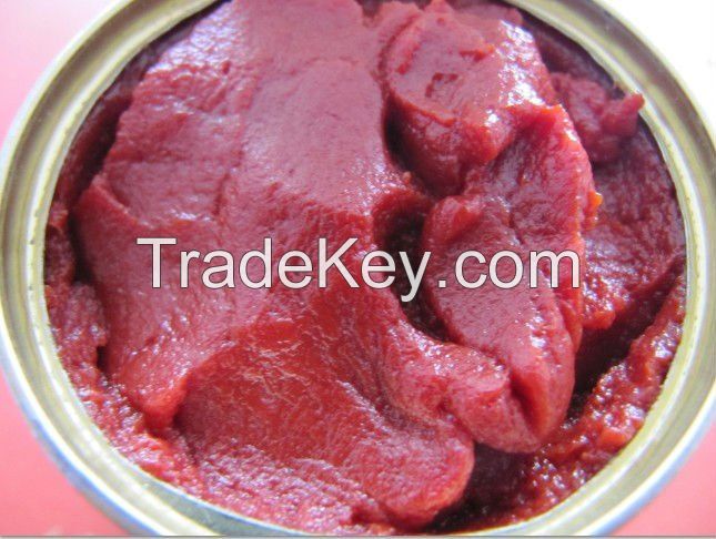 tomato paste