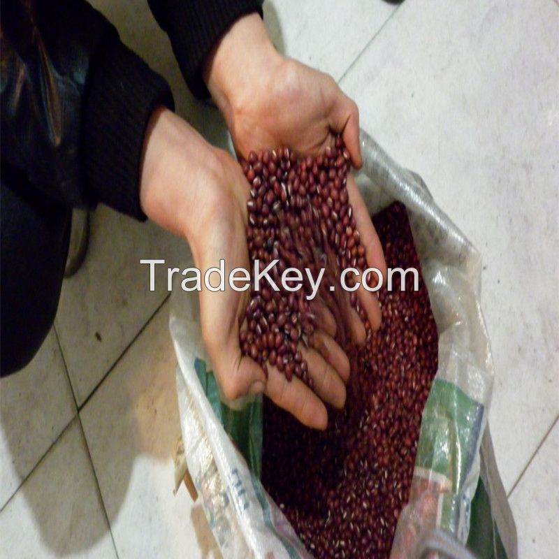 red kidney beans