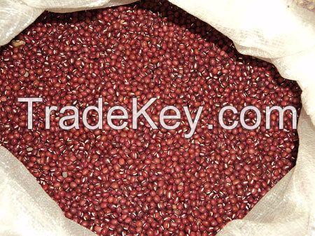 red kidney beans