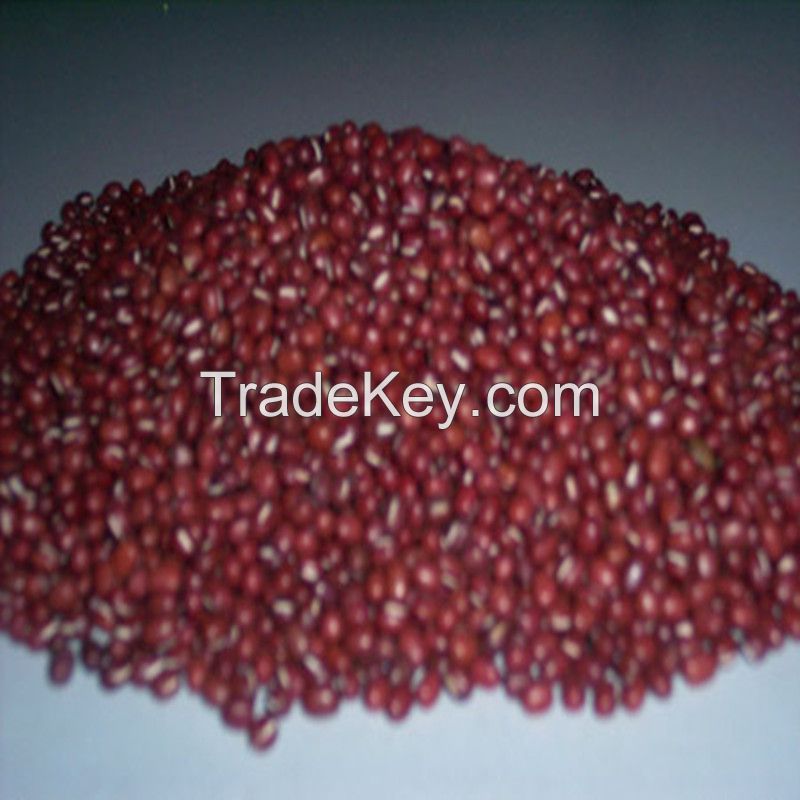 red kidney beans