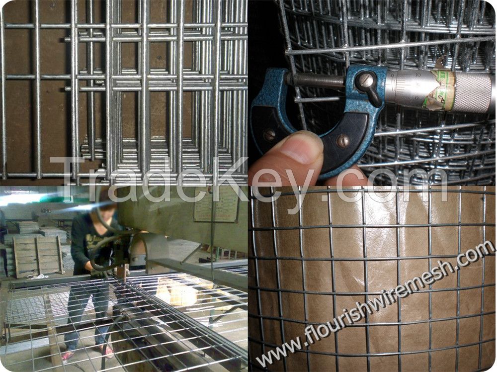 Welded Wire Mesh With High Quality And Best Price