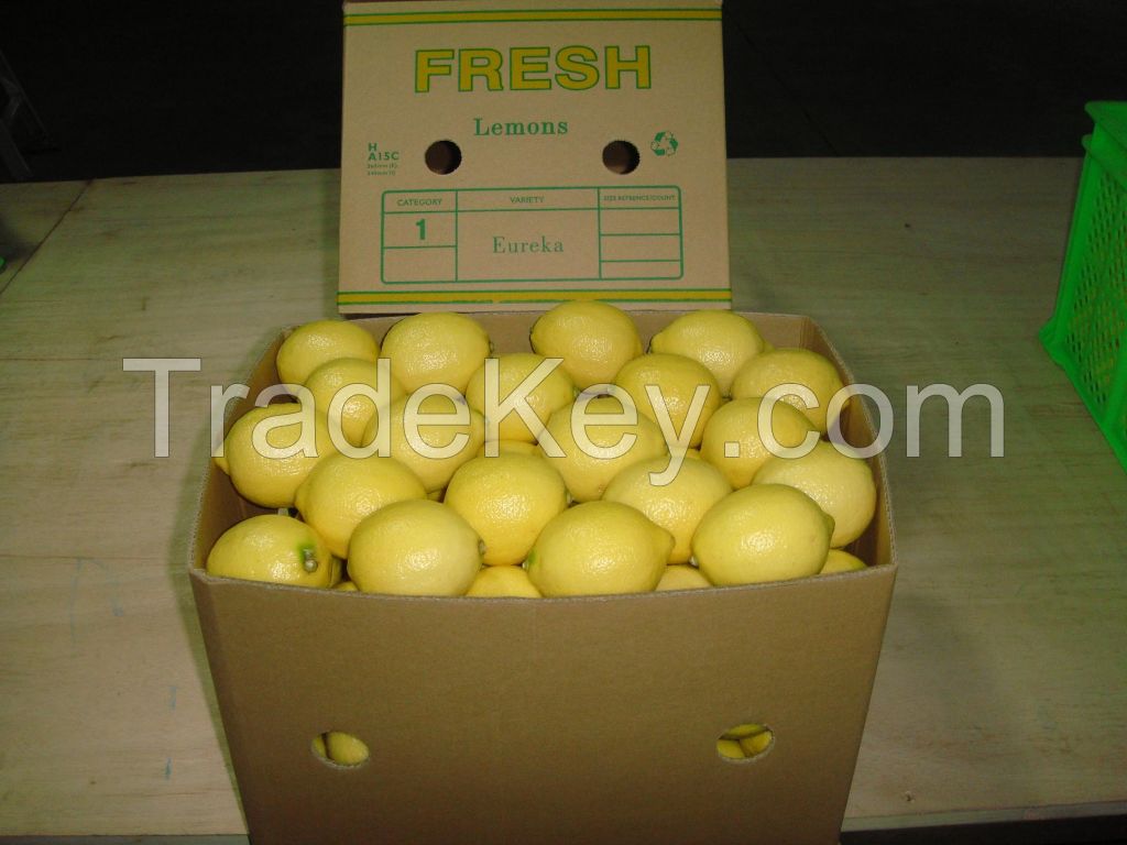 Fresh Citrus fruits apples, Oranges. Tangarine, lemons mandarines and others 