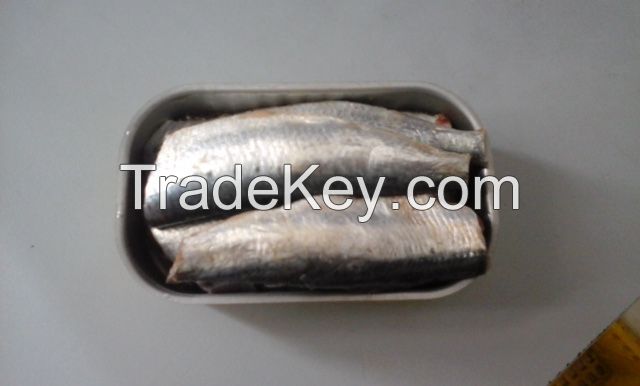 CANNED SARDINES PILCHARDS