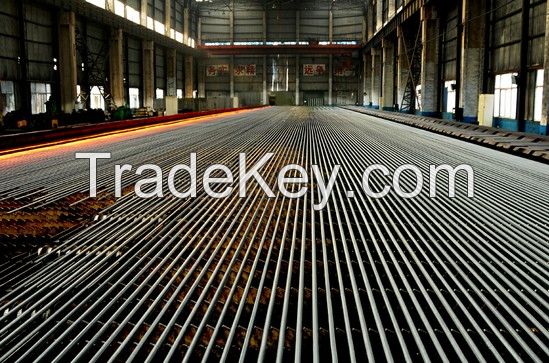 Resisitent eformed Steel Bar