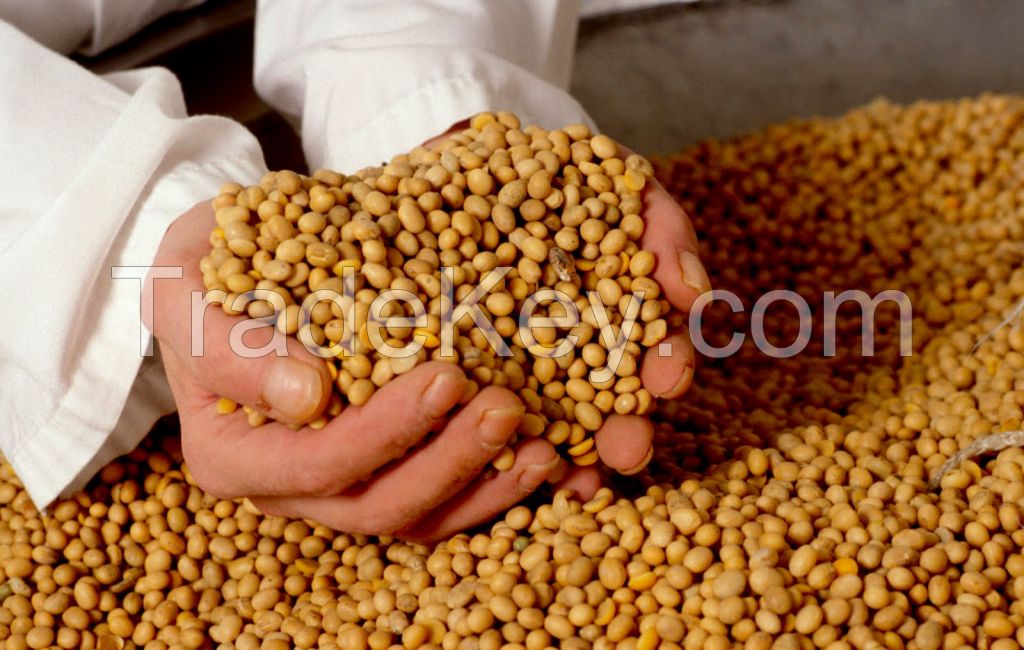 Soybeans from Russia