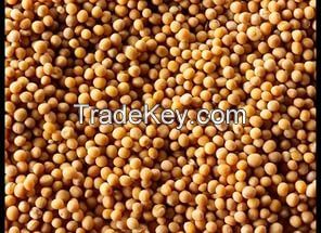 Mustard seeds from Russia