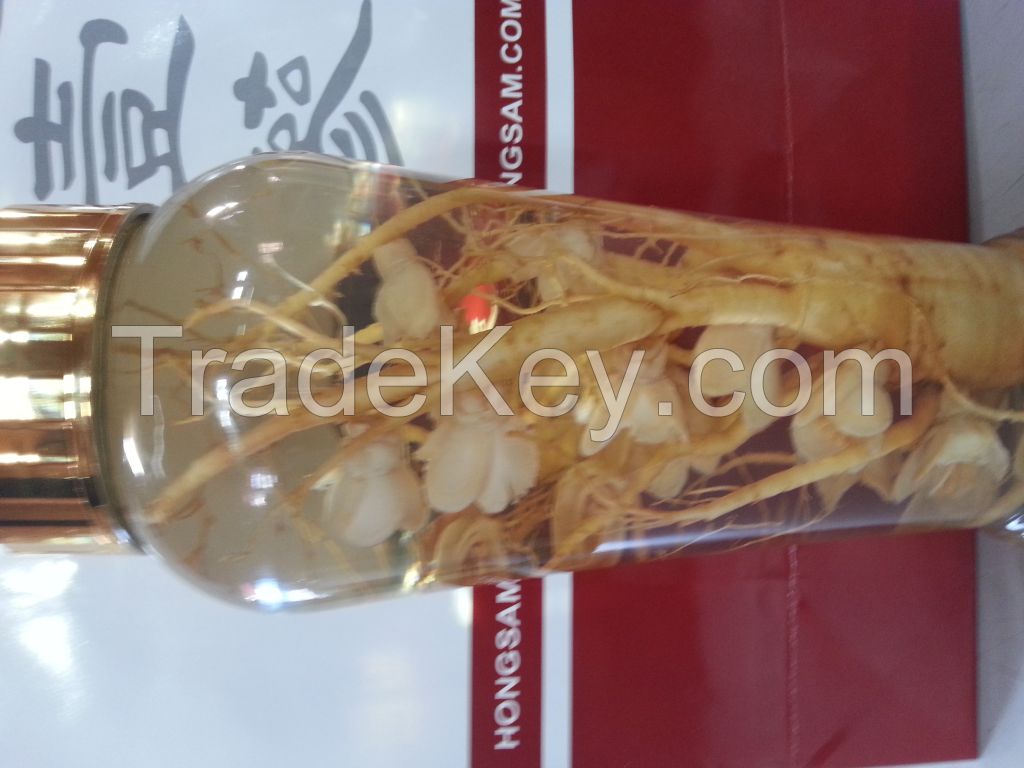 red ginseng