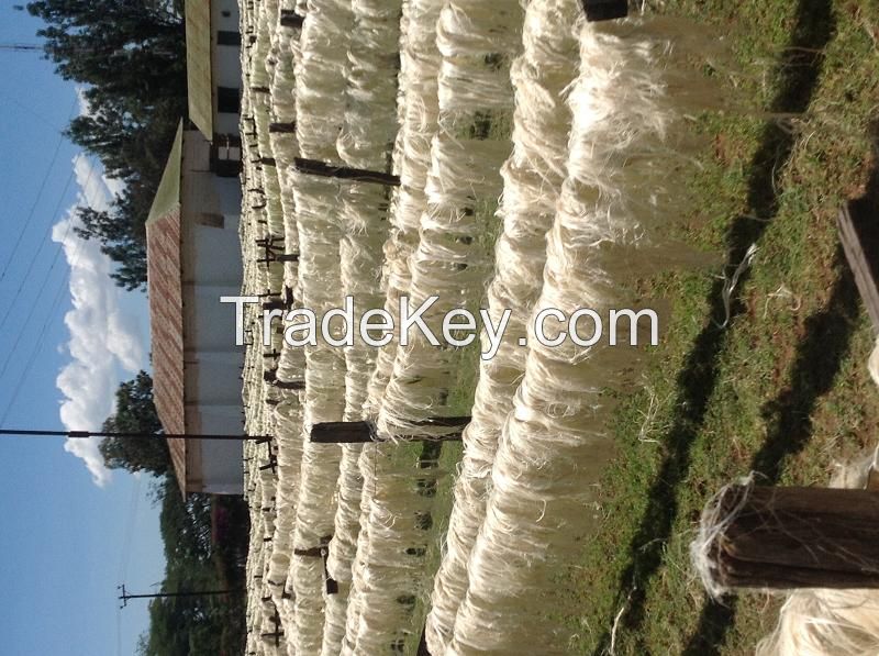 Sisal fiber