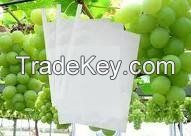 Grape Growing Paper Bag, Grape Protection Paper Bag, Grape Packaging Paper, Paper for Fruit Growing Use