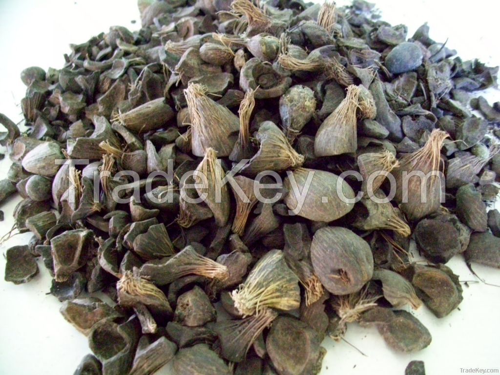 Palm Kernel Shell