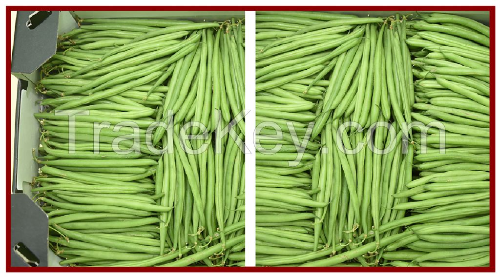 Green Beans