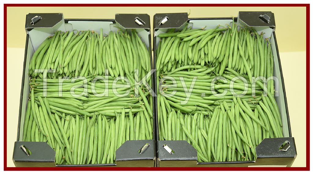 Green Beans