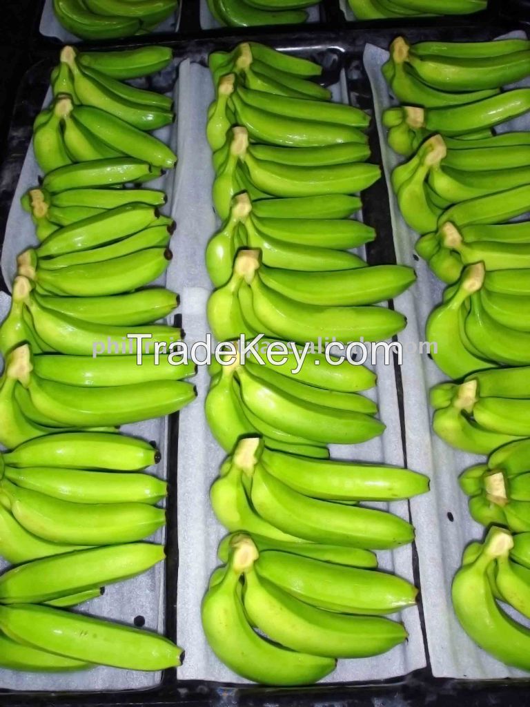 Banano Premium first class