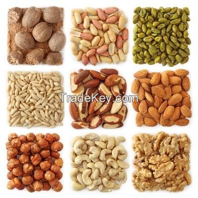 Hazelnuts, Macadamia Nuts, Betel Nuts, Brazil Nuts, Cashew Nuts, Pea Nuts, Basil Nuts, Walnuts, Almond Nuts