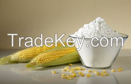Corn Starch, Rice Starch, Potato Starch, Tapioca Starch