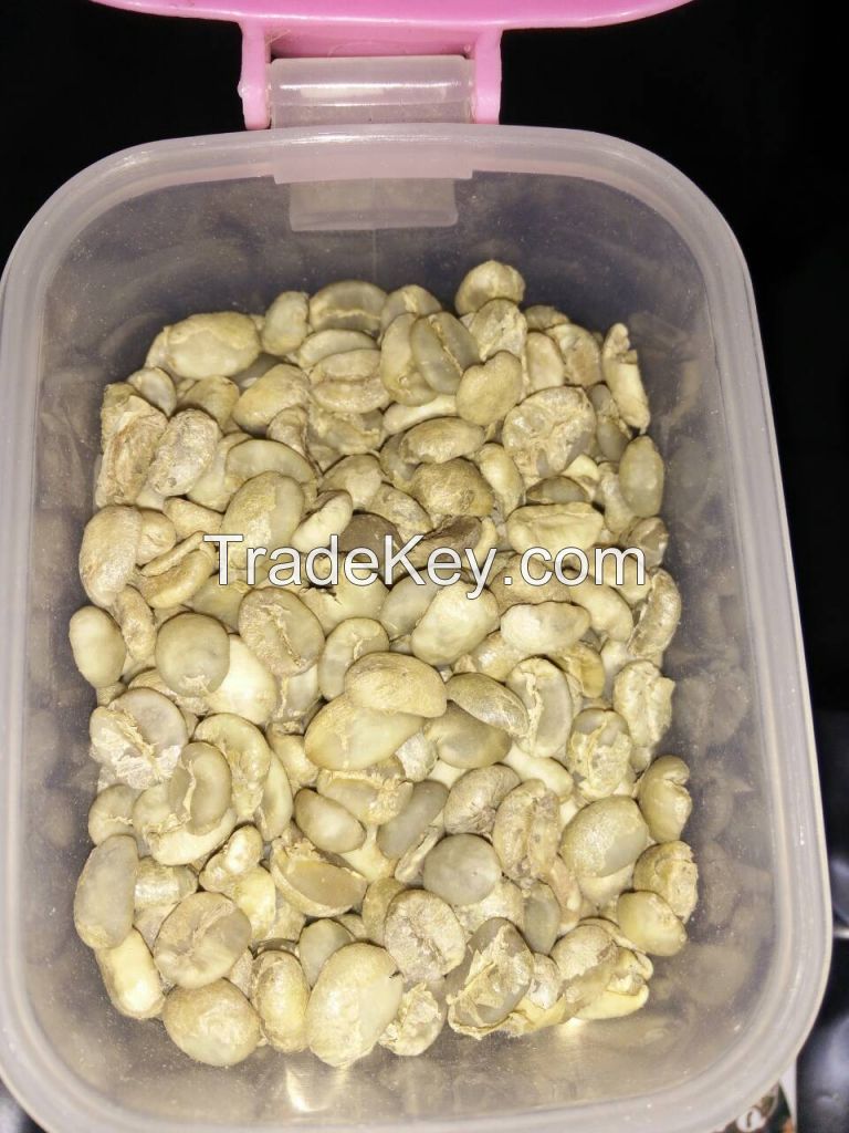 Civet Arabica coffee - Kopi Luwak