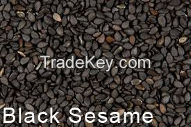 sesame seeds