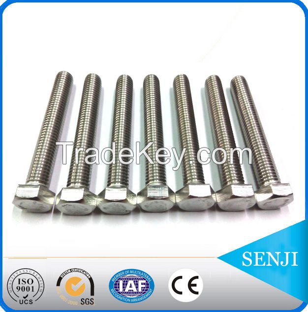 customized stainless steel hex bolts