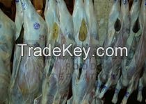 Salted beef omasum, squid loligo, frozen ribbon fish. chicken feet/paws