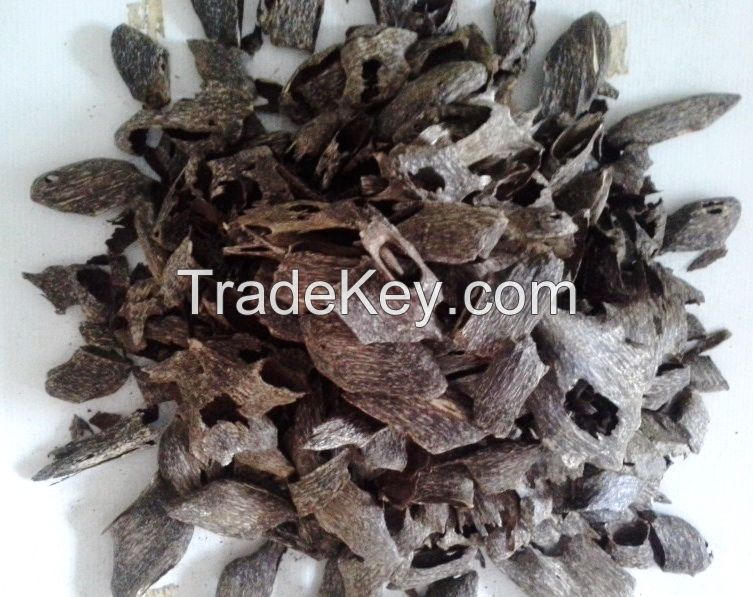 Agarwood (Oudh)