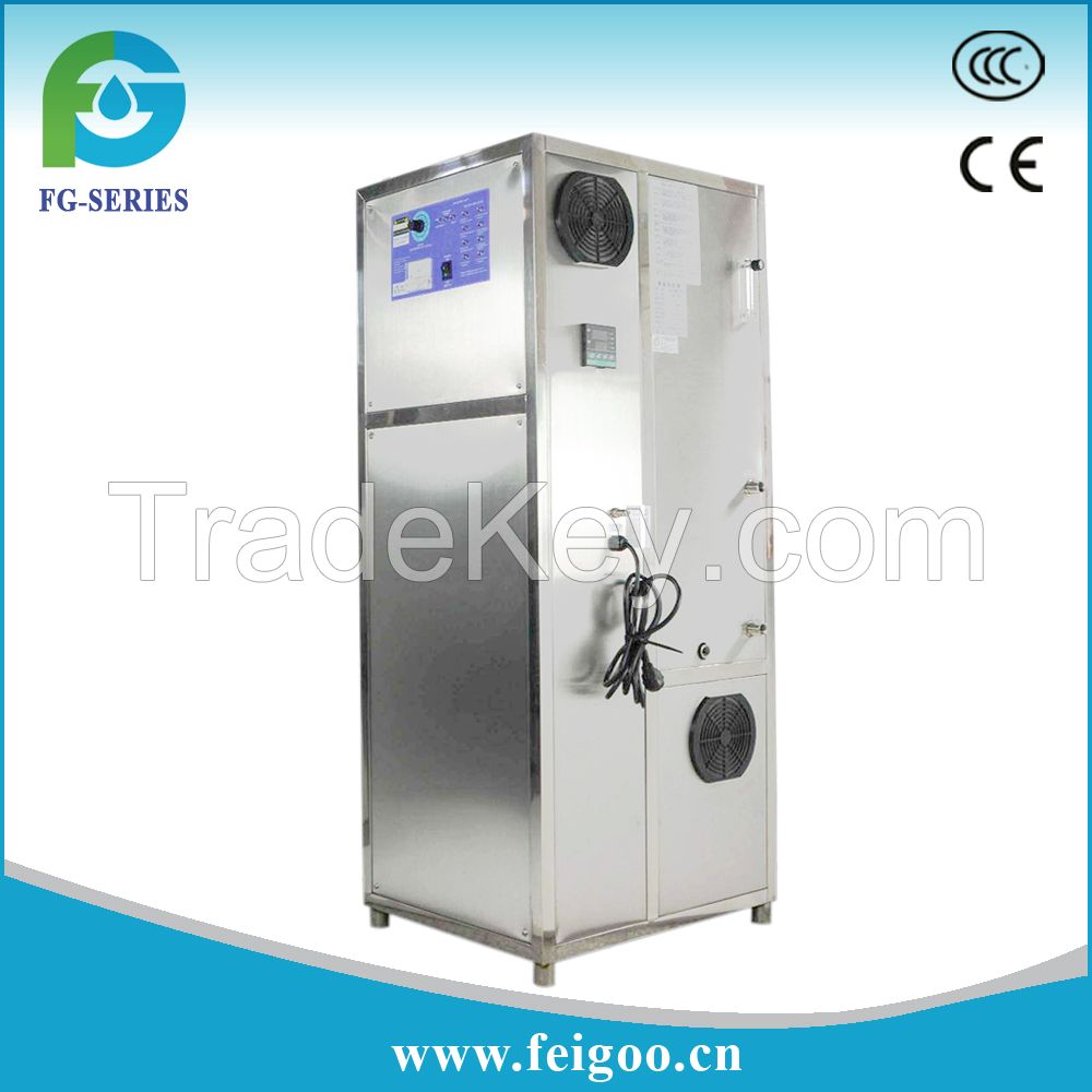 100G Pool Ozone Generator for Water Disinfection