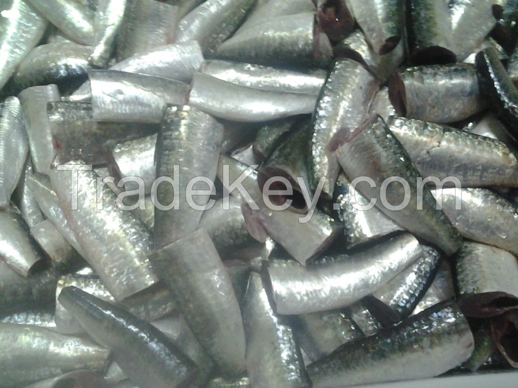 FROZEN SARDINES PILCHARDUS HGT