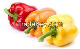 Capsicum Yellow and Red