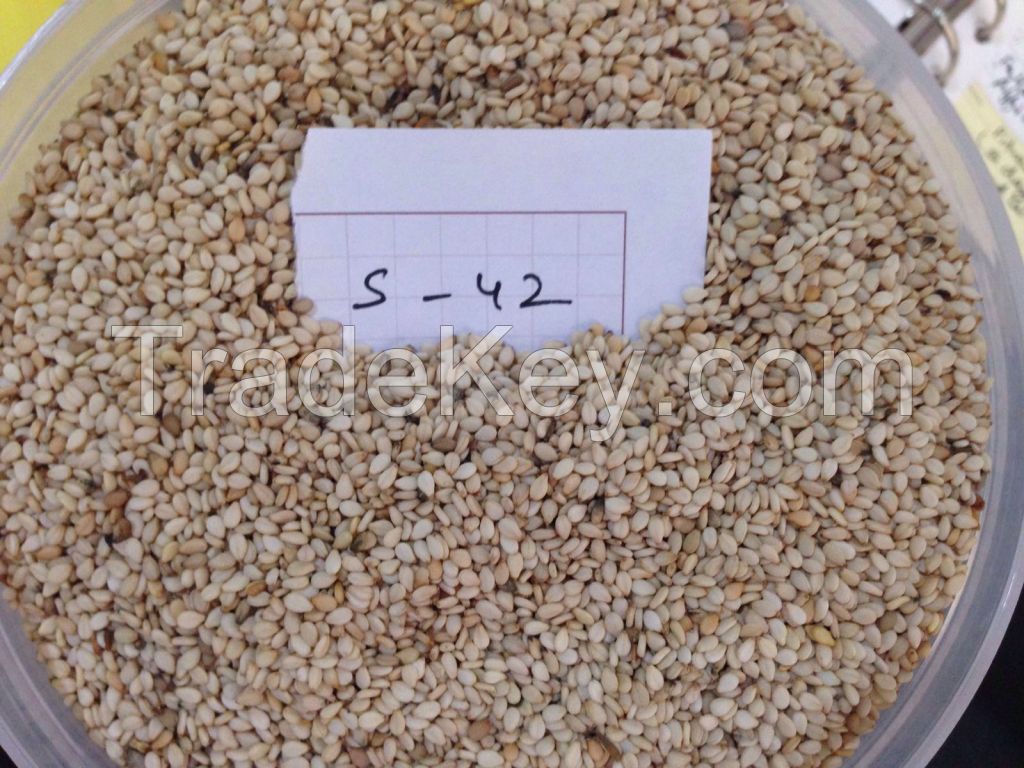 Sesame Seed | S-42 Grade