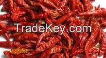 red chili thai pepper