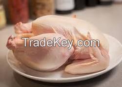 FROZEN HALAL WHOLE CHICKEN, WINGS, FEET,DRUM STICKS FROM 