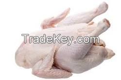 Frozen Whole Chicken Frozen Whole Chicken GRADE a FOR SALE HOT SALES