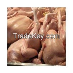 whole chicken specification