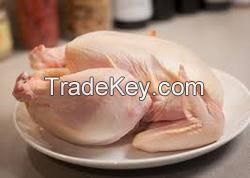 Sell Frozen Chicken Gizzards.Wings,Paws,Feet,Legs,Feet Other Parts