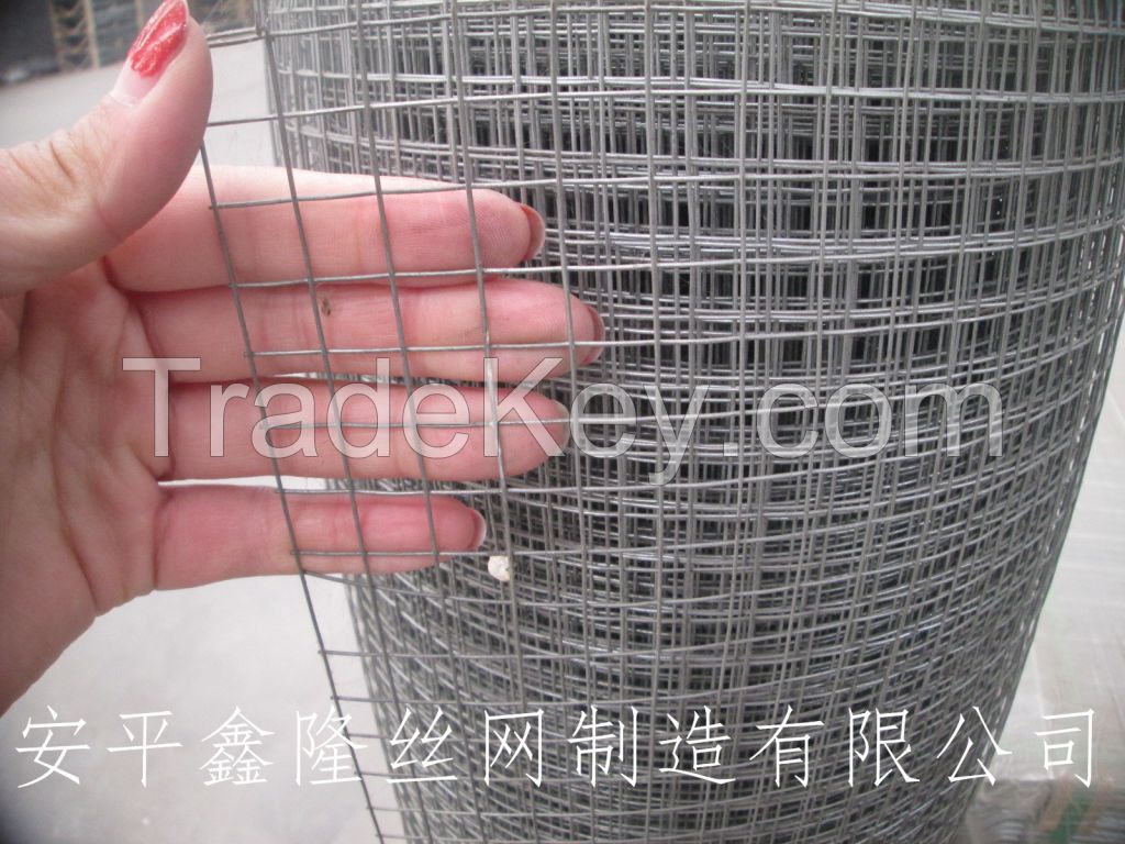 Galvanized 10 gauge welded wire mesh in rolls from anping factory 