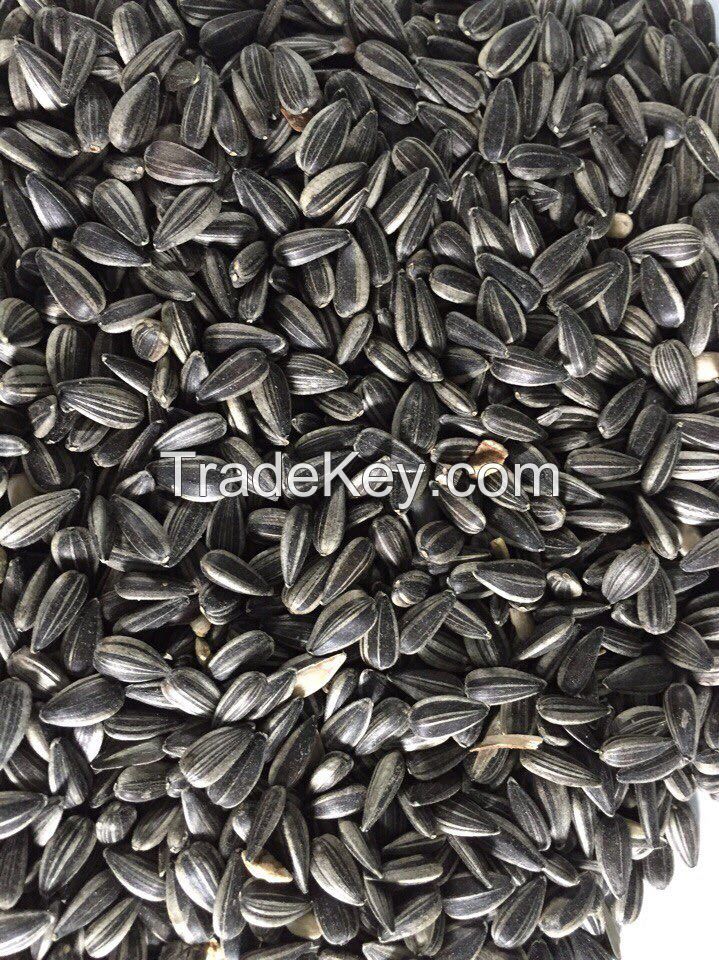 Sunflower seeds