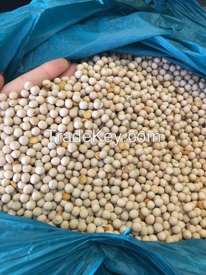 Whole Yellow Peas