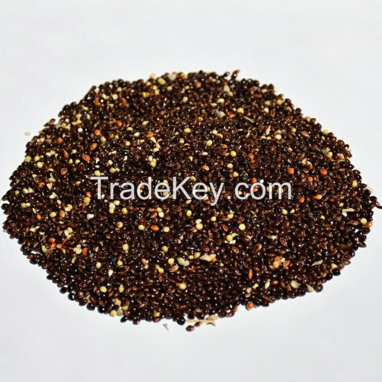 Black Millet 