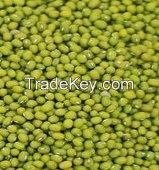 Green Mung Beans