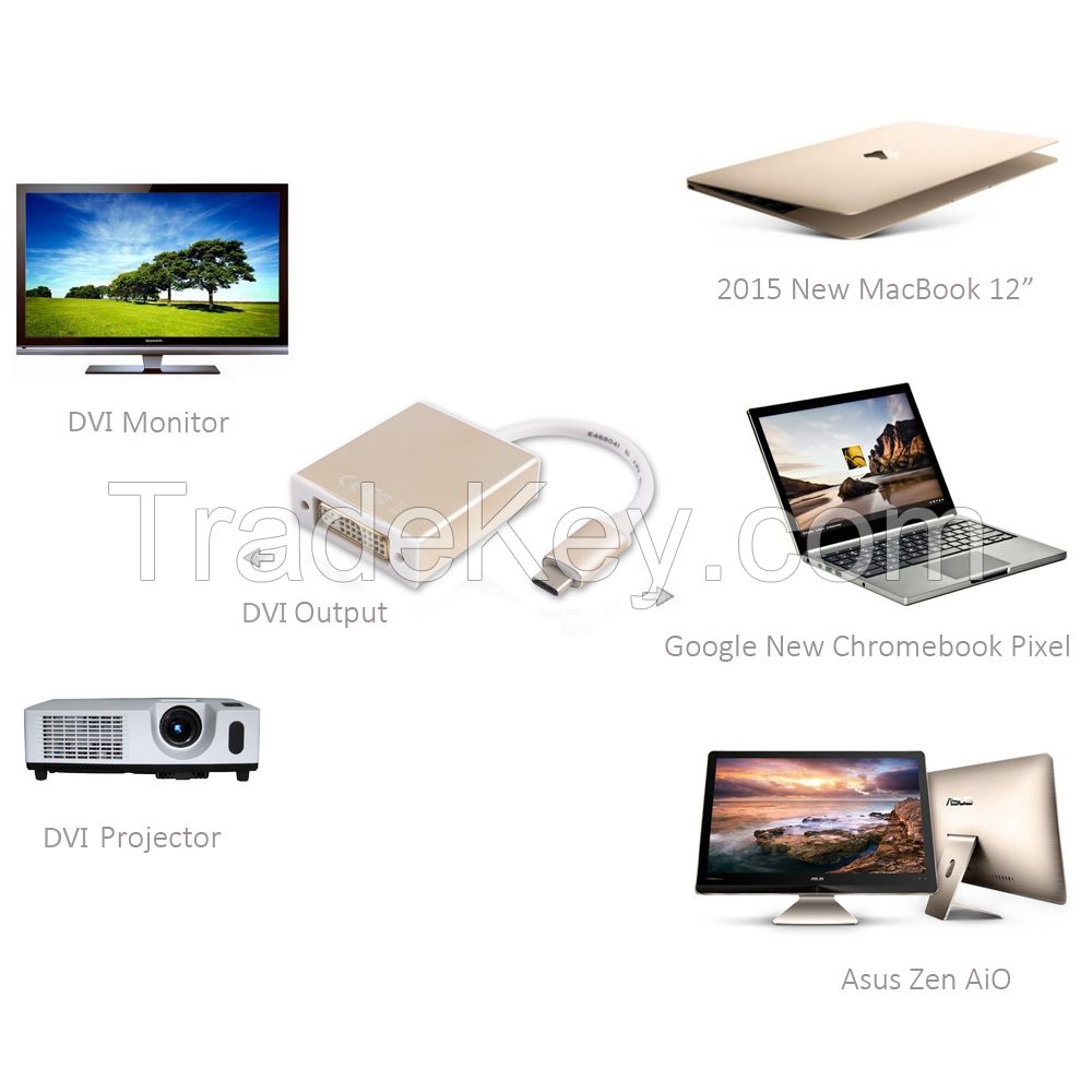 USB 3.1 Type Cï¼ˆUSB-C) M to DVI F Converter Cable--Aluminum Case