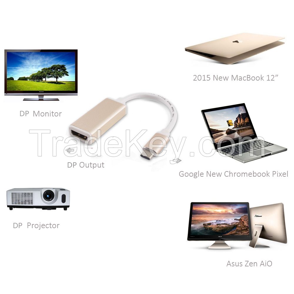 USB 3.1 Type Cï¼ˆUSB-C) M to DP F Converter Cable--Aluminum Case