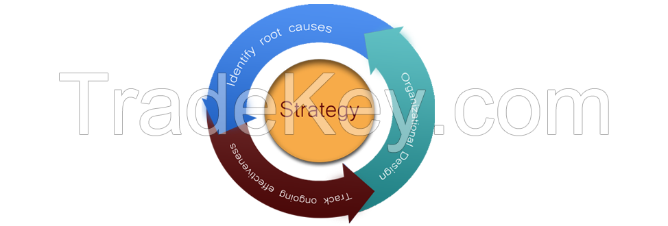 Organisation Design