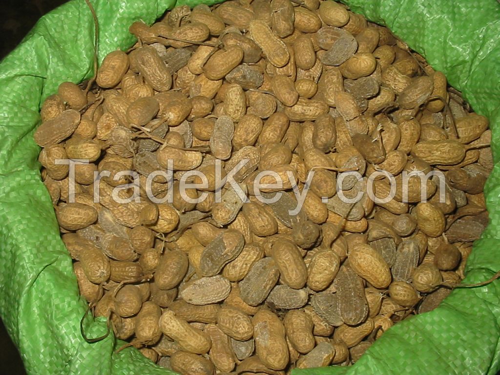 PEANUTS(IN SHELLS & HAND PICKED SELECTED KERNELS)